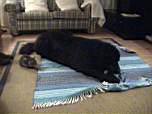 DSC00005.JPG
